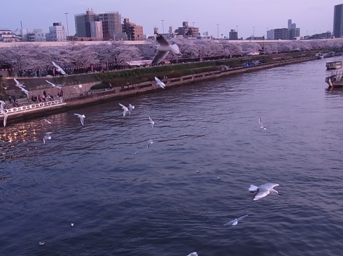 写真を上手に撮る技術がマジで欲しい