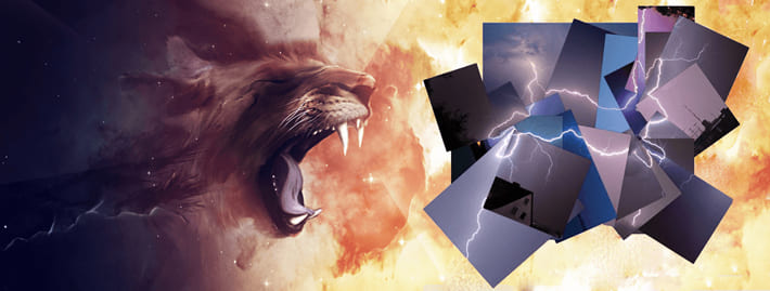 獅子は兎に見えるものを倒すのにも全力を尽くす