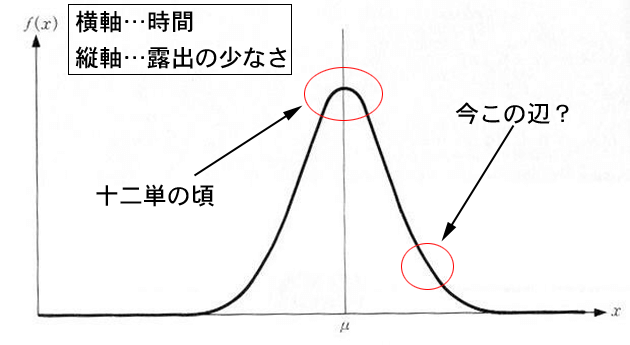 十二単がマックスだったのかはよう分からんけども