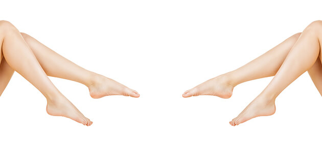 おはようからおやすみまで遠慮なく見つめてください