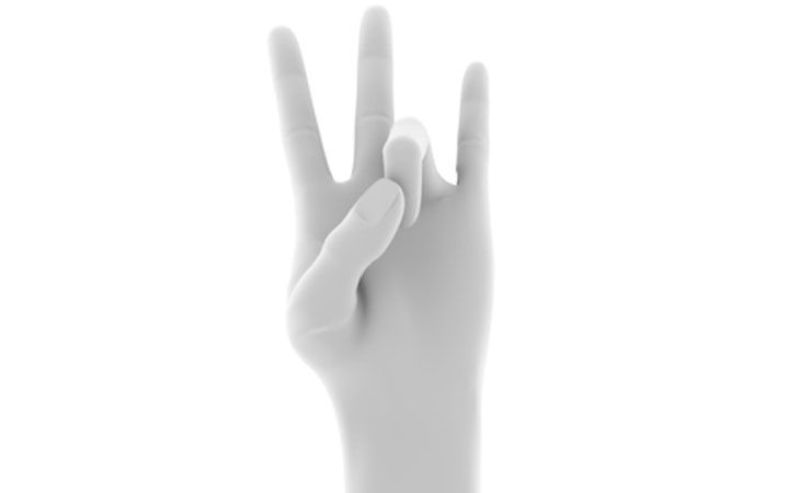 こういう手の形って、何か呼び方あるのかな？