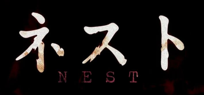 見たことはないです