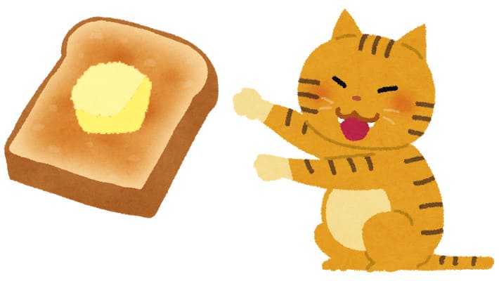 猫にトーストってあげて大丈夫なんだっけ？