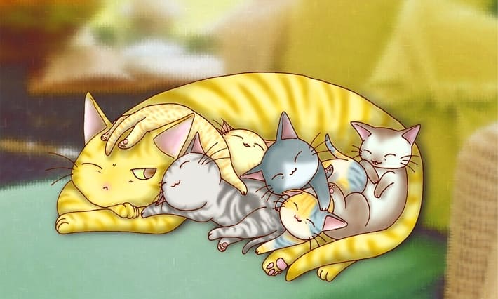 昔からずーっと使っているお気に入りの一枚