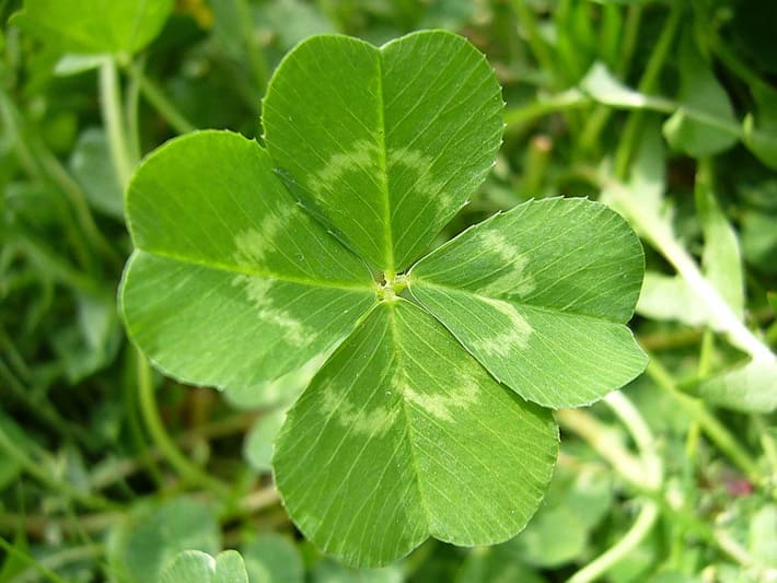 君に幸せあれ by 長渕剛